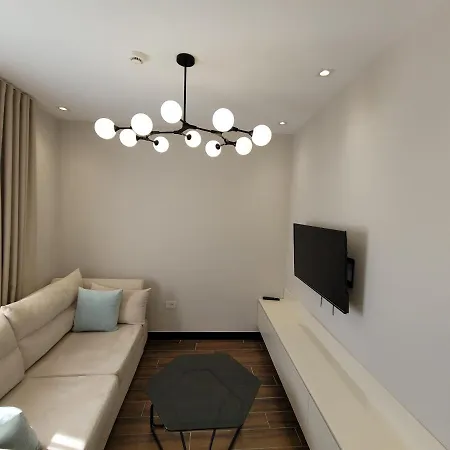 Delfin Kune Shëngjin