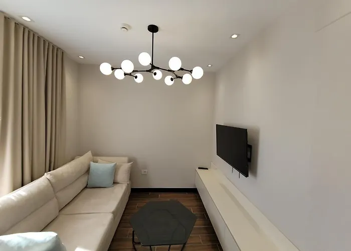 Delfin Kune Shëngjin